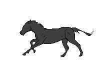 Randy Perez | Horse Logo