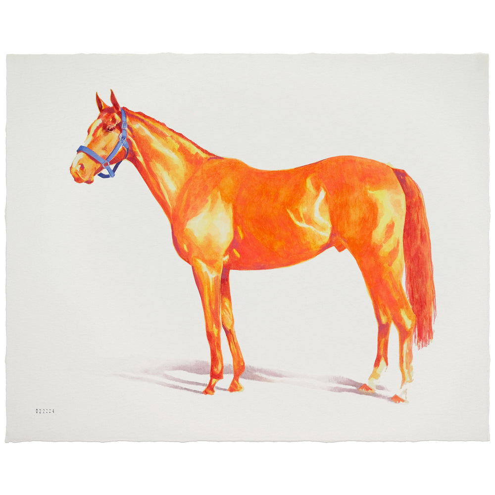 randy perez horse painting